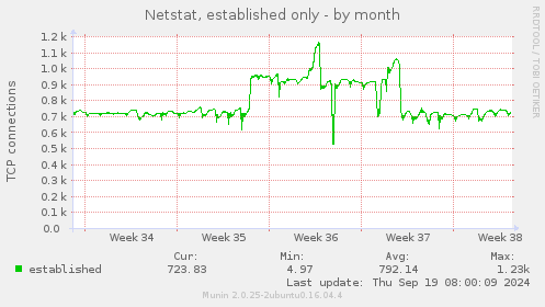 Netstat, established only