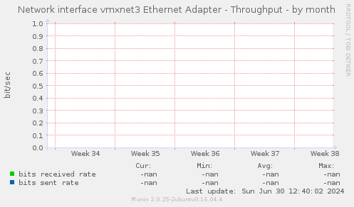 Network interface vmxnet3 Ethernet Adapter - Throughput