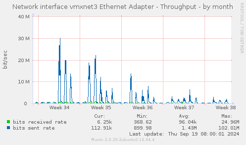 Network interface vmxnet3 Ethernet Adapter - Throughput